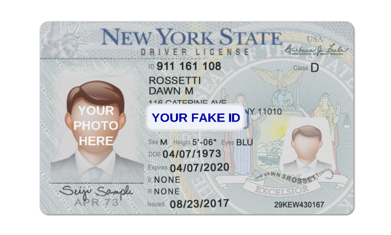 fake driver license for roblox