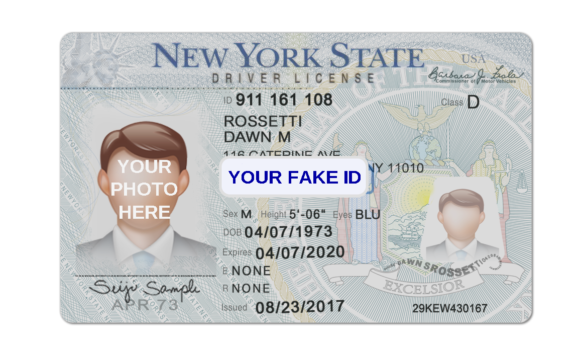 Fake Driver License For Roblox – Best Fake ID For Roblox