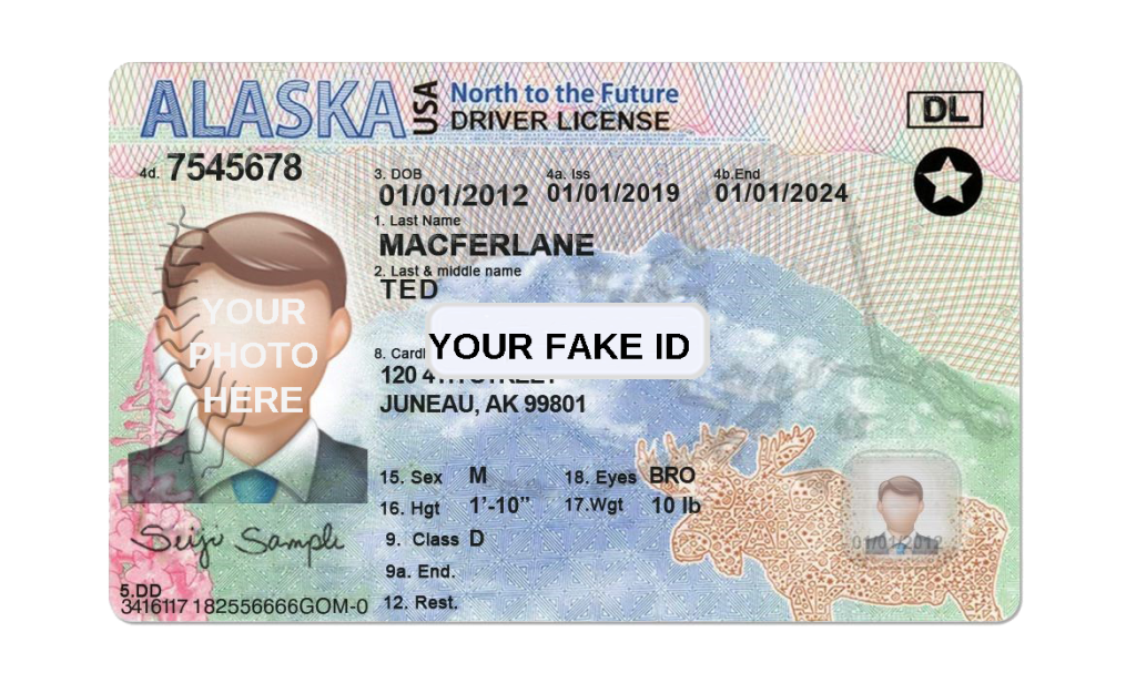 Fake Ids For Roblox Voice Chat