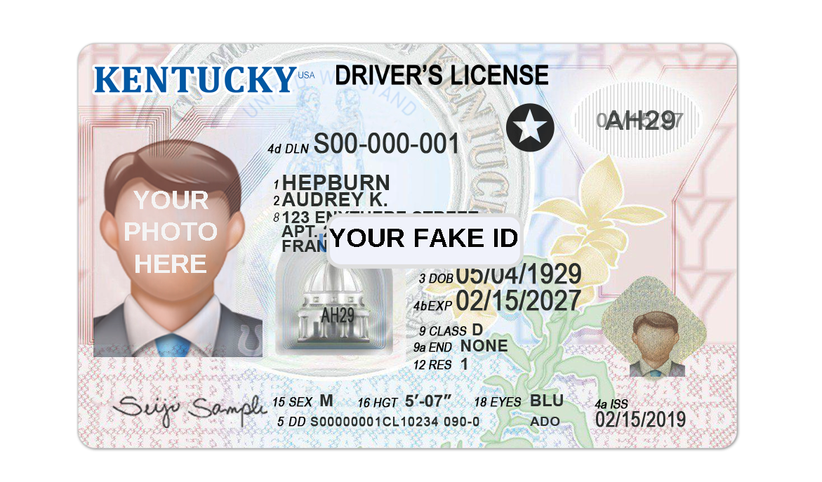 Your Fake ID For Roblox