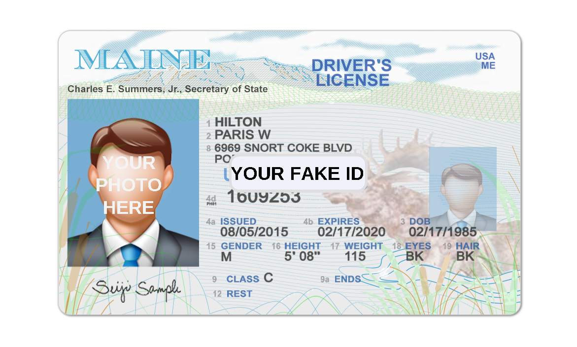 Drove me. Driver License Template. Driver's License шаблон. Maine Driver License. USA Driver License PSD.