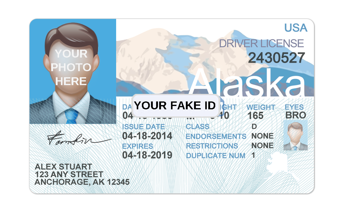 Drive card. Driver License. Driver License USA. Driver License ID.